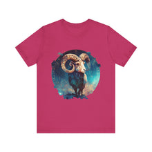Load image into Gallery viewer, Aries Signature Two Sided Jersey Short Sleeve Tee