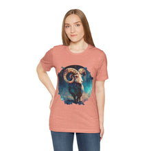 Load image into Gallery viewer, Aries Signature Two Sided Jersey Short Sleeve Tee