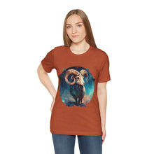 Load image into Gallery viewer, Aries Signature Two Sided Jersey Short Sleeve Tee
