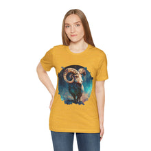 Load image into Gallery viewer, Aries Signature Two Sided Jersey Short Sleeve Tee
