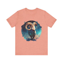 Load image into Gallery viewer, Aries Signature Two Sided Jersey Short Sleeve Tee
