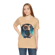 Load image into Gallery viewer, Aries Signature Two Sided Jersey Short Sleeve Tee
