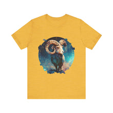 Load image into Gallery viewer, Aries Signature Two Sided Jersey Short Sleeve Tee
